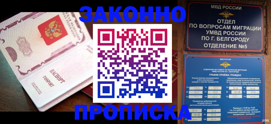 временная регистрация для школы в Боровичах